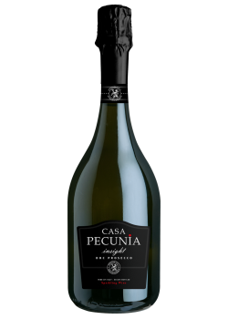 CASA PECUNIA 'INSIGHT'...