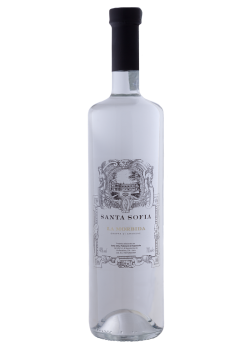GRAPPA DI AMARONE LA...