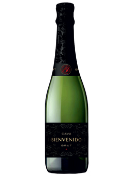 BIENVENIDO CAVA BRUT 0,75L...