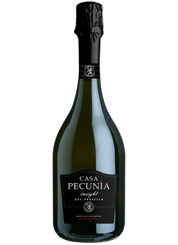 INSIGHT CASA PECUNIA...